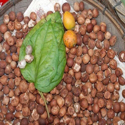 Betel nut
