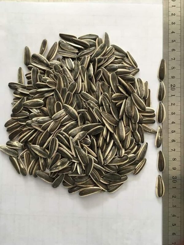 Sunflower seeds